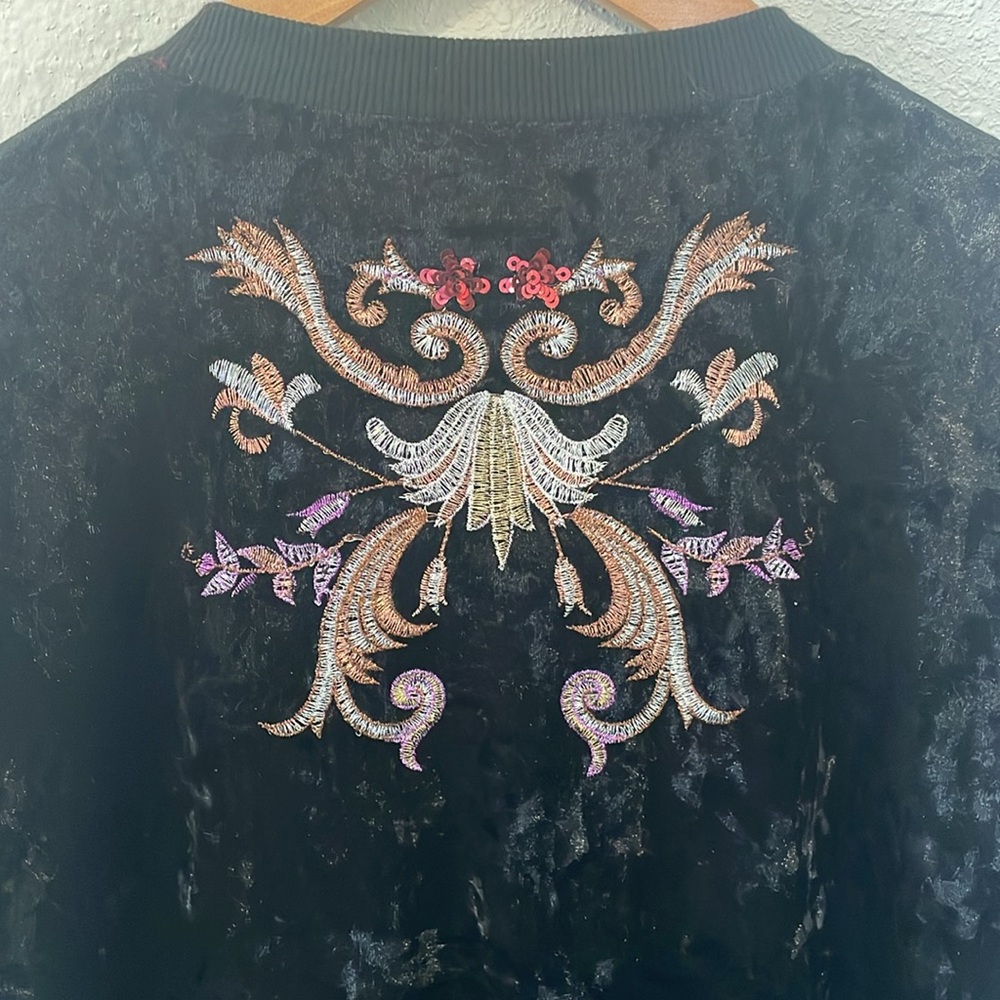 Velvet Embroidered Jacket - Picture 4 of 5